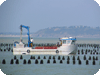 amphibie_1175.gif